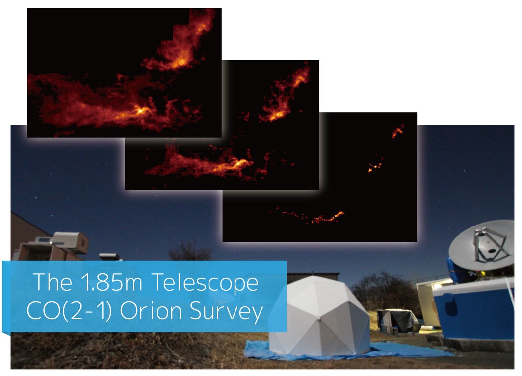 The 1.85m Telescope: CO(2-1) Orion Survey